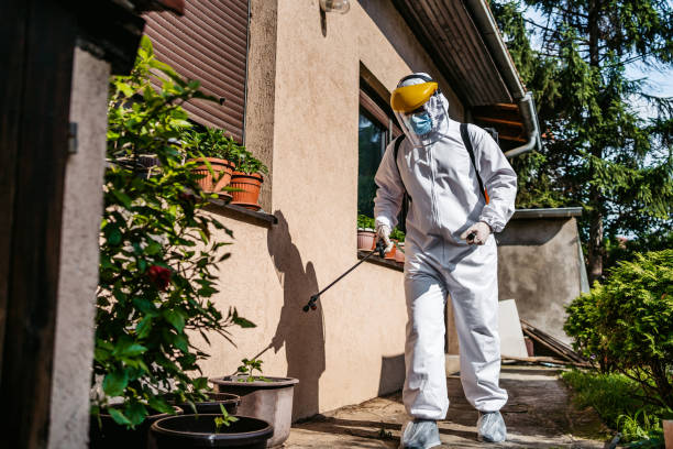 Best Wasp Removal Services  in Atoka, TN