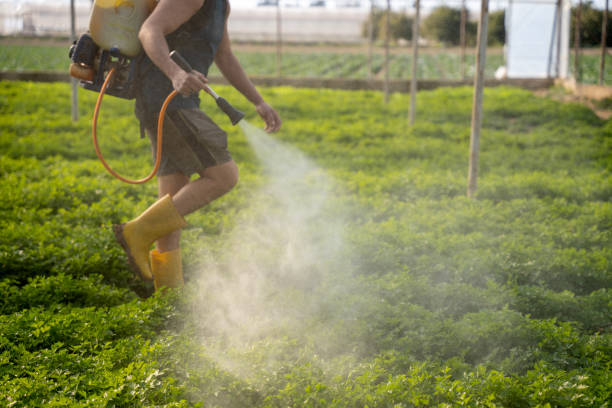 Best Mosquito Control Services  in Atoka, TN